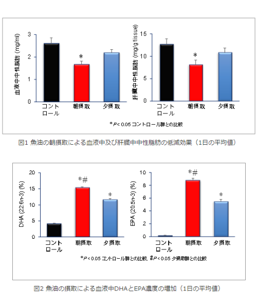 魚油による脂質代謝改善効果が摂取時刻によって異なることをマウスで発見